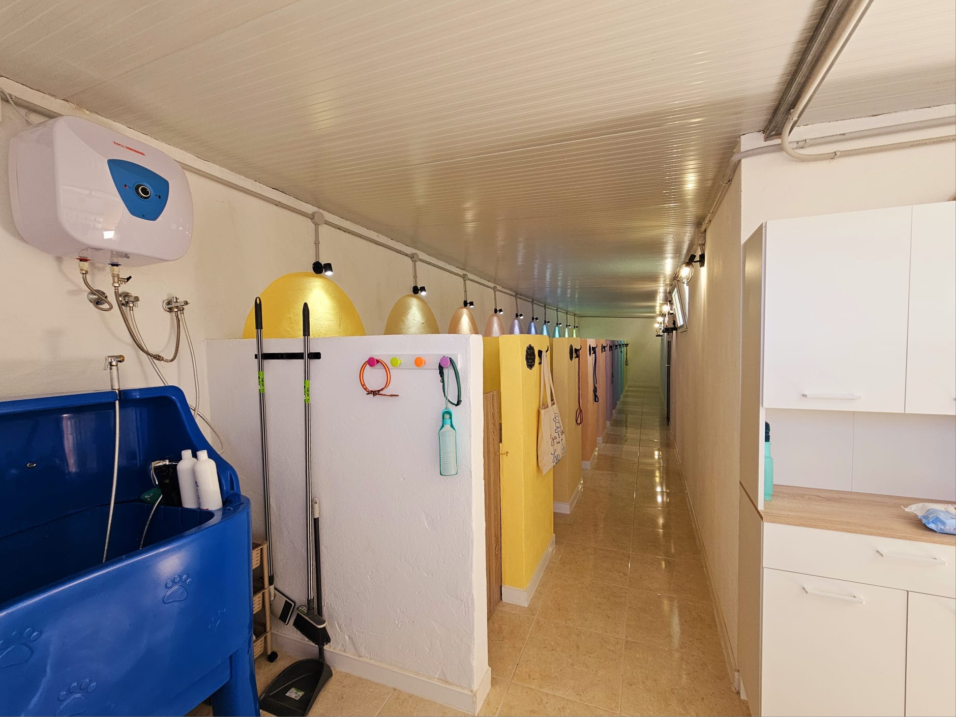 Instalaciones de un centro de cuidado de mascotas, mostrando un pasillo con áreas de baño para perros, un lavabo azul, y estantes con productos de limpieza. Las paredes están decoradas en colores pastel y hay iluminación adecuada para el cuidado de los animales.